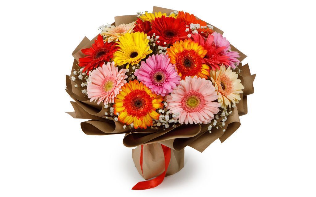 15 gerberas