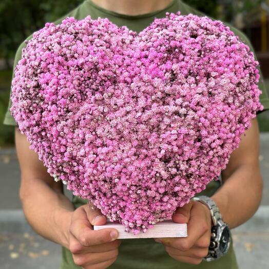 Gypsophila heart is small