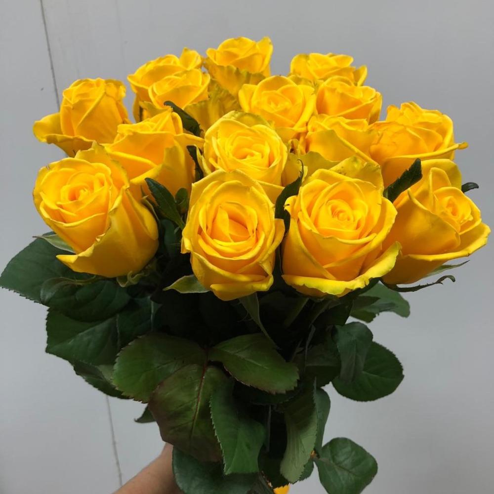 15 yellow roses