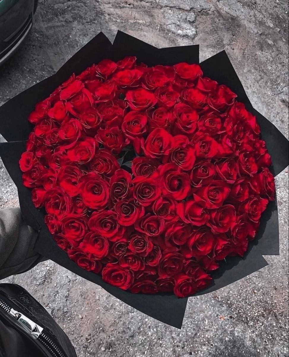 25 красных роз королевских 👑