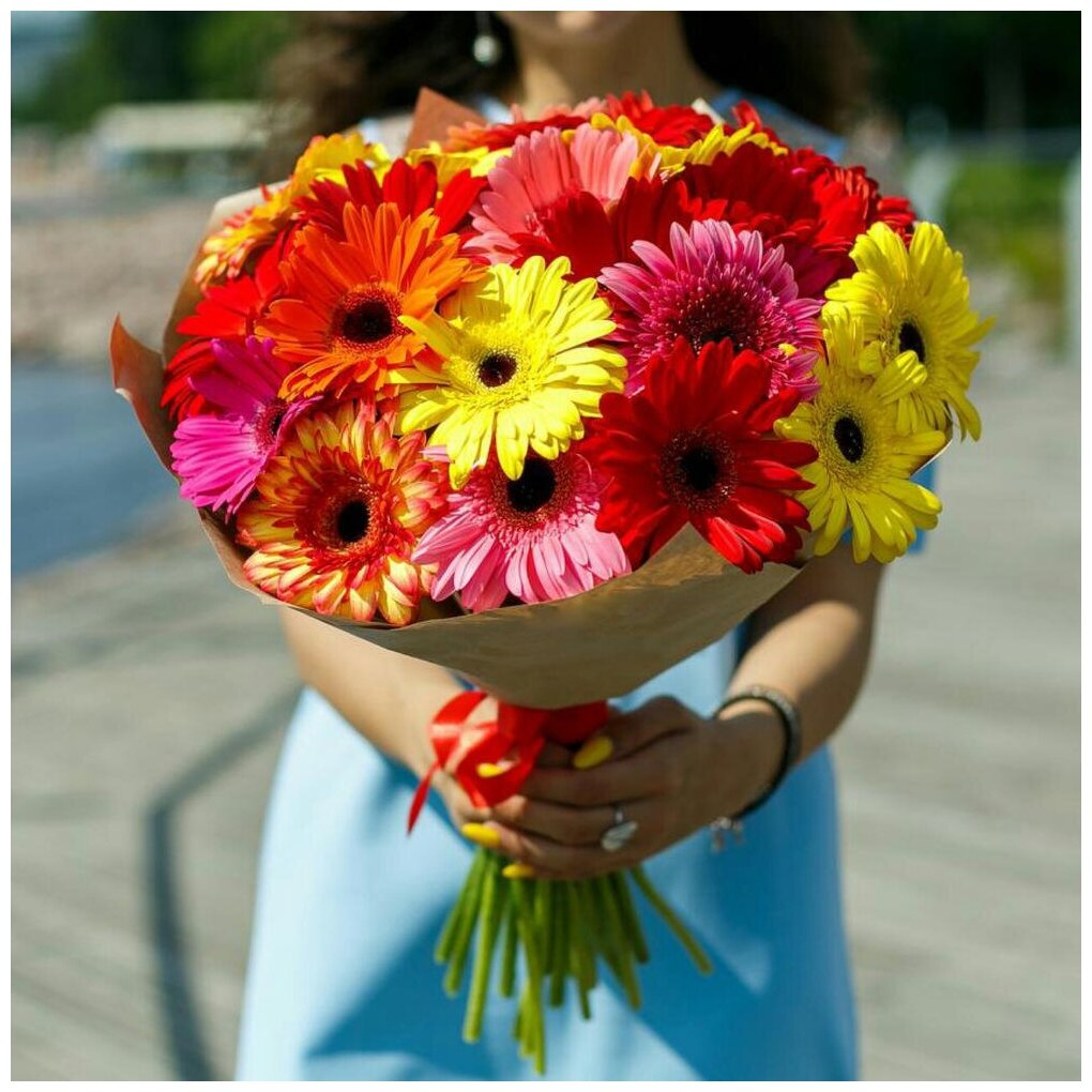 31 gerberas