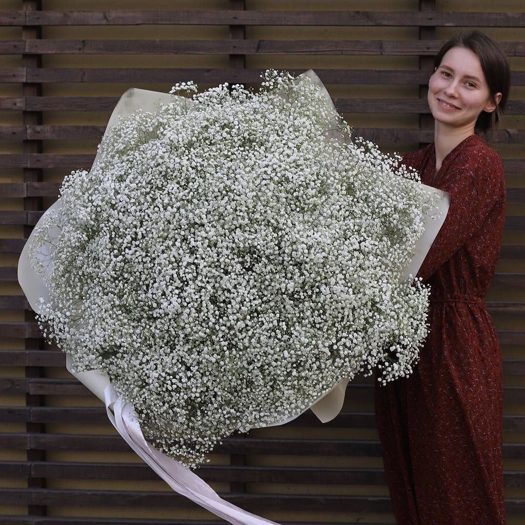 101 гипсофила