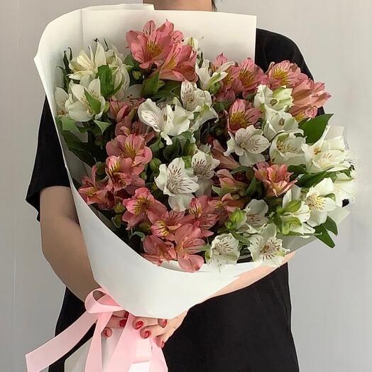 Alstromeria Mono # 15 pcs