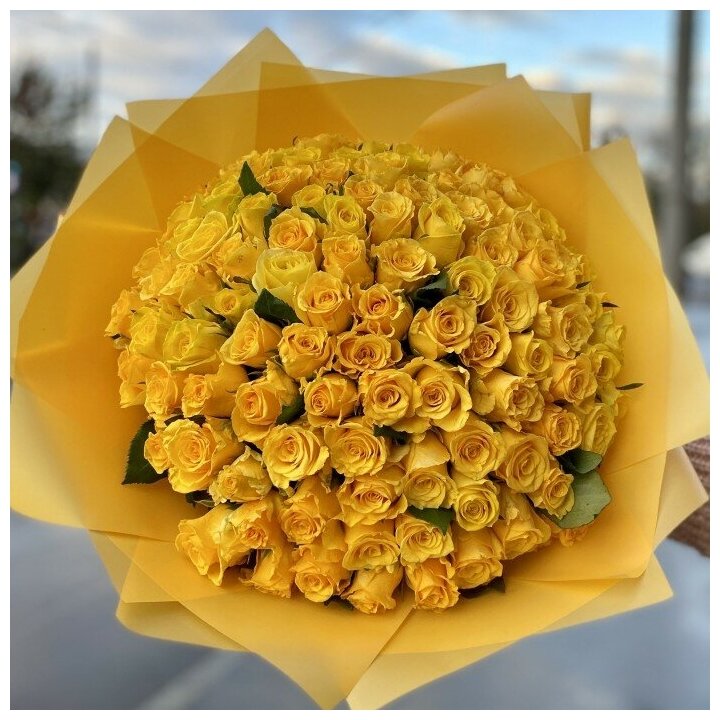 101 yellow roses