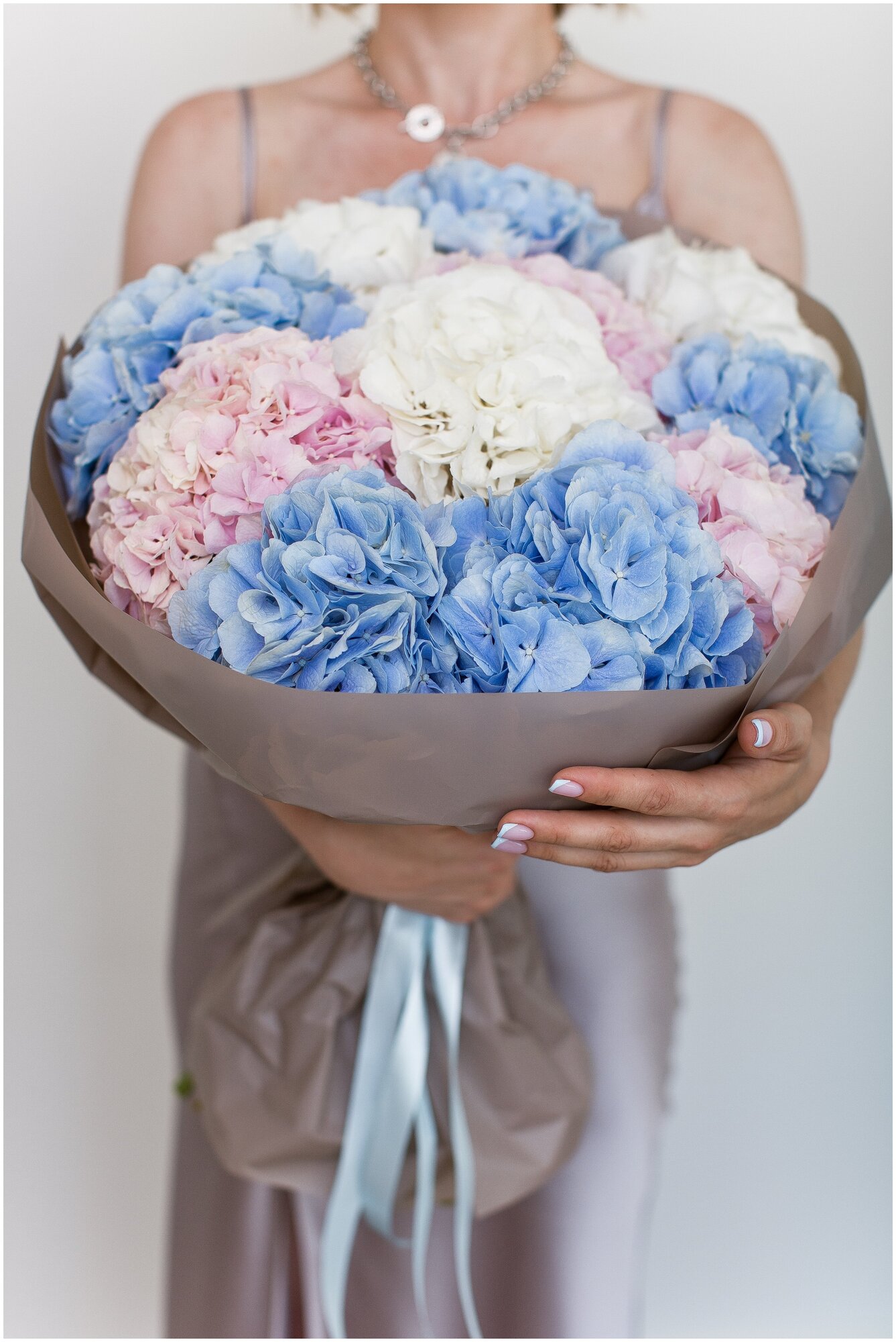 11 гортензия