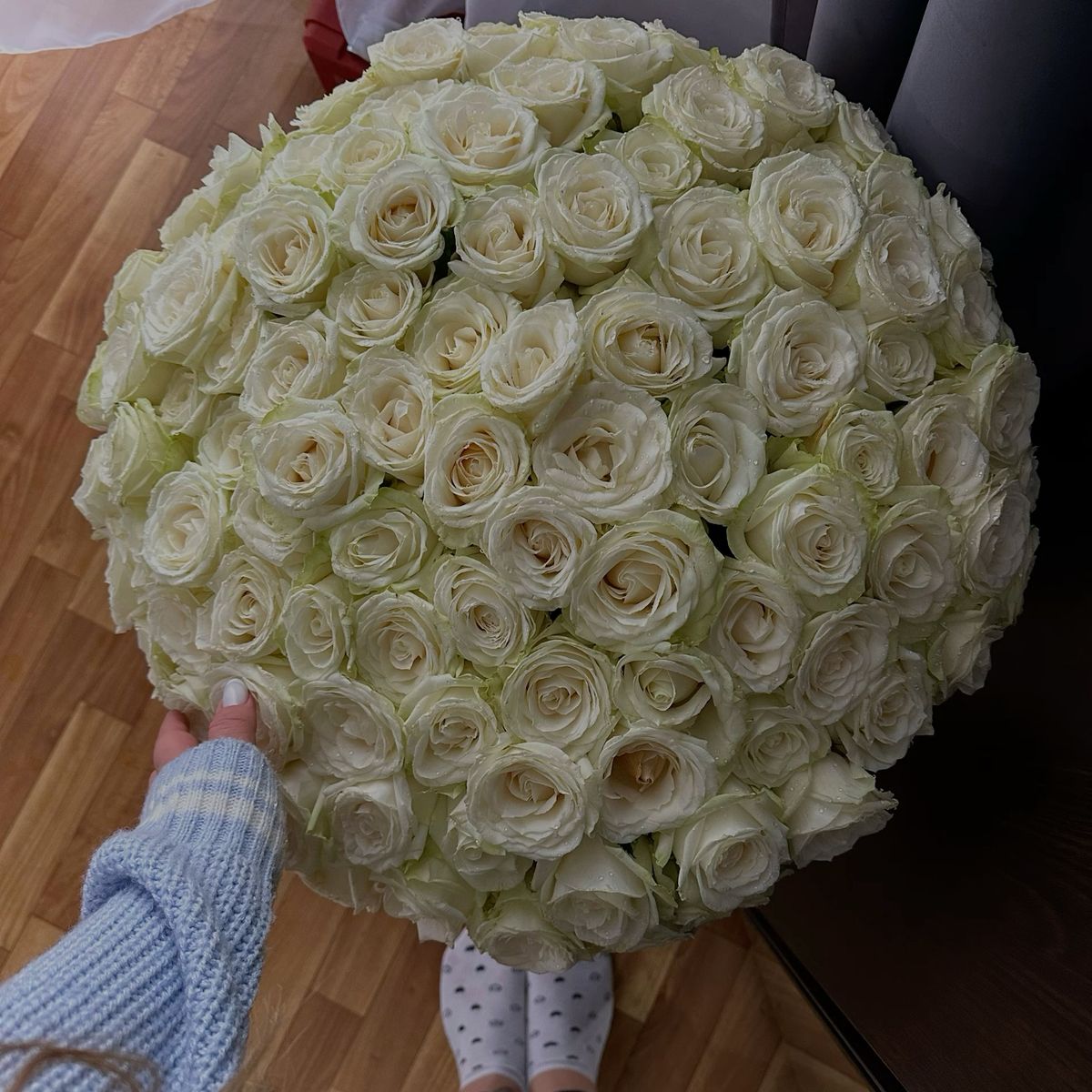 101 White Roses Premium