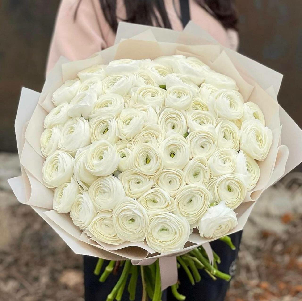 101 ranunculus
