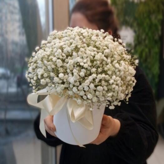 Гипсофила в коробочке L