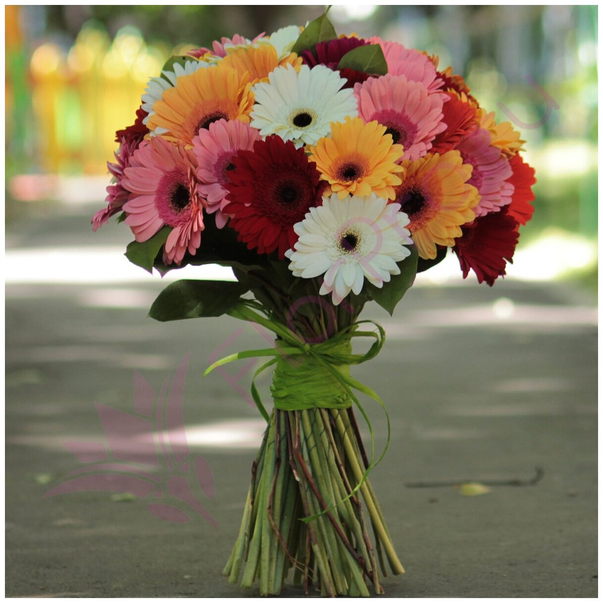51 gerberas
