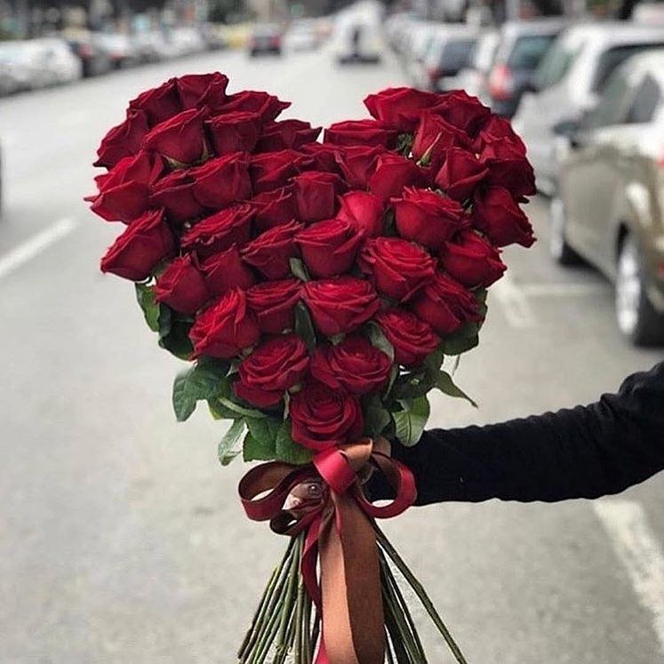 51 Red Roses Royal 👑