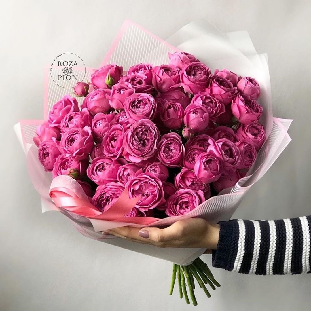 31 пионовидная роз