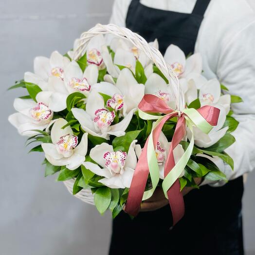 Орхидеи. Корзина орхидей