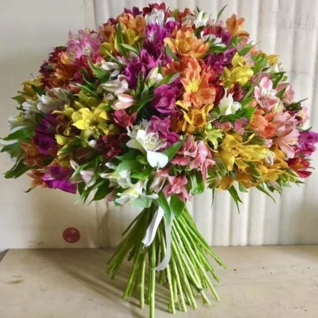101 alstroemeria