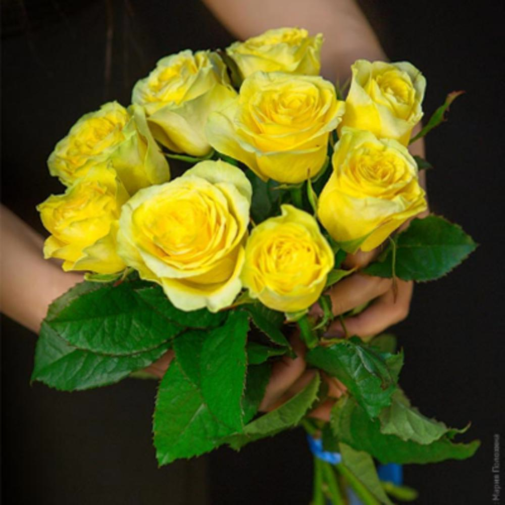 9 yellow roses