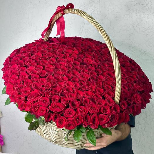 301 Red rose in the basket