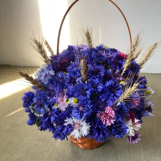 Basils and chamomiles with spikelets in a basket