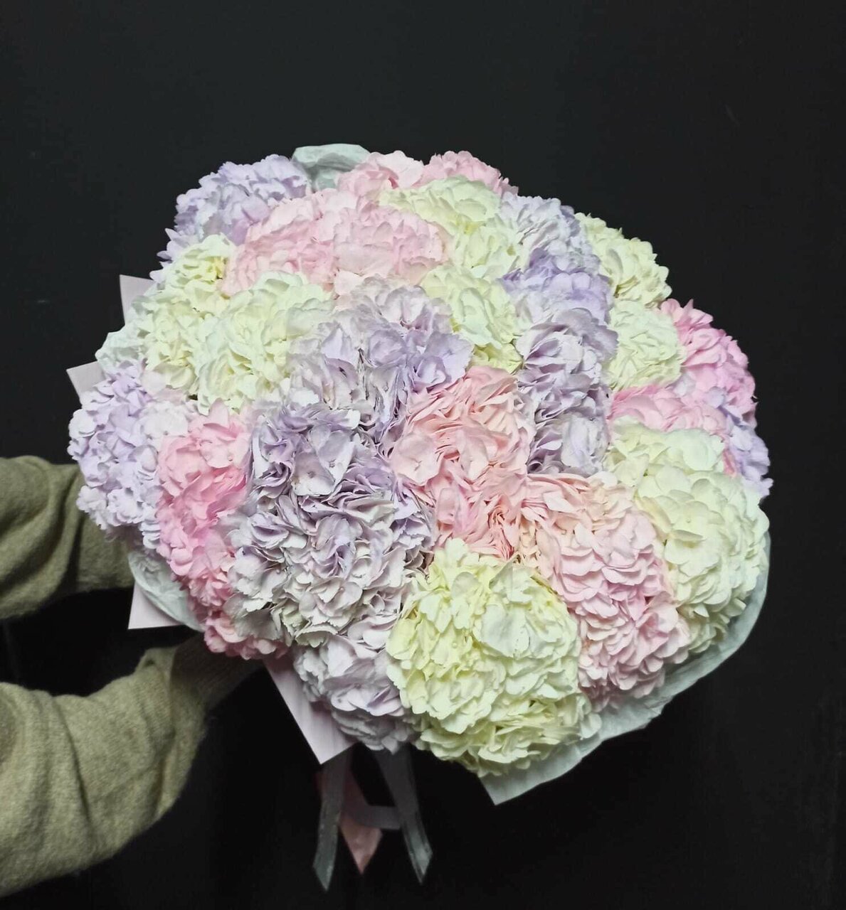 25 гортензия