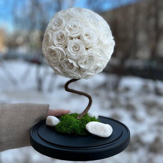 «Дерево Счастья» композиция в колбе из белоснежных роз /32 см/белая