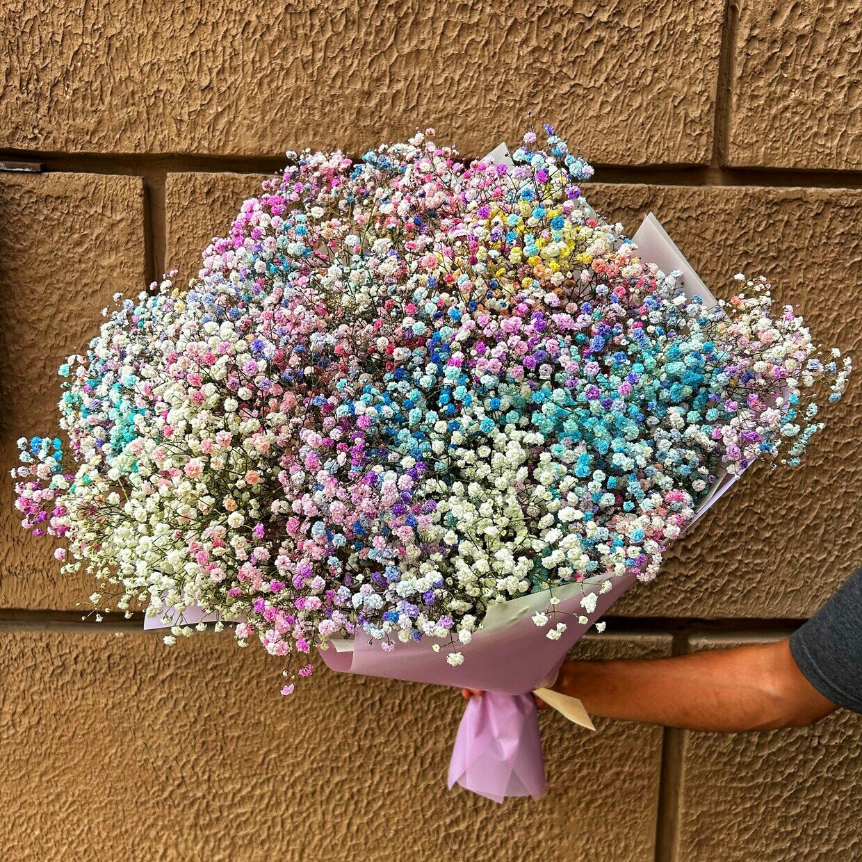 21 гипсофила