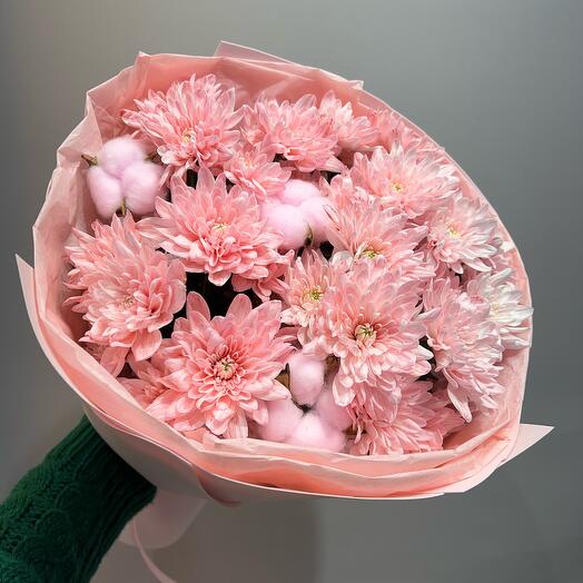 Хризантемы неженки