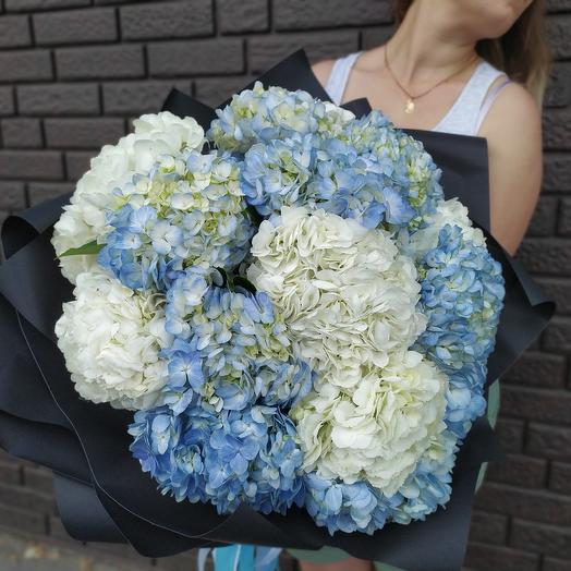 15 hydrangea