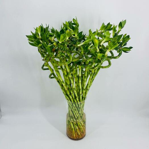 Букет счастливого бамбука 35 шт