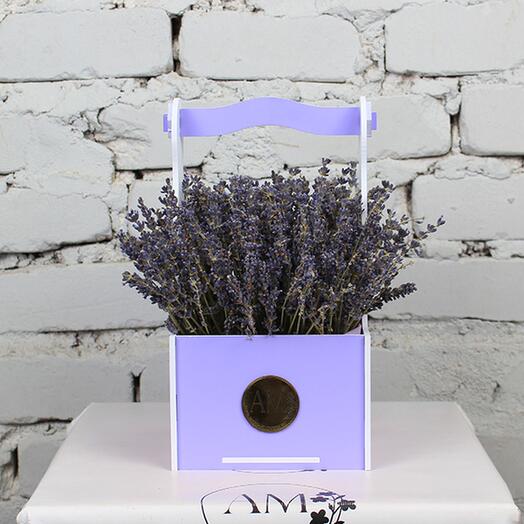 Lavender composition in a purple box