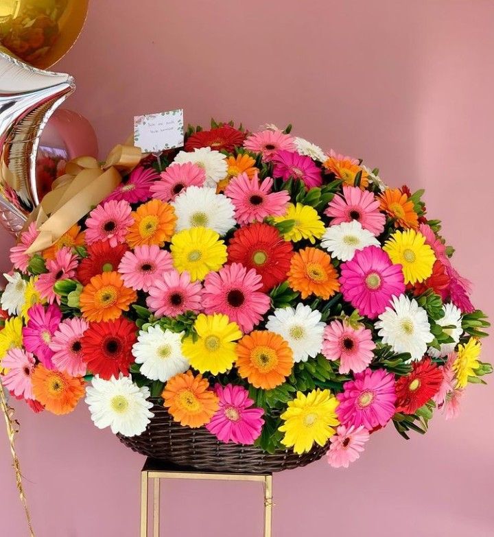 101 gerberas