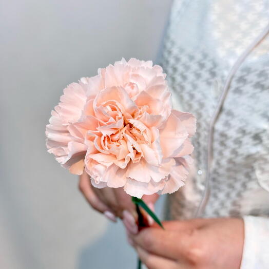 Персиковая гвоздика / диантус 💫