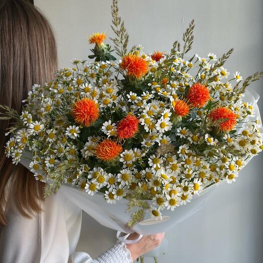 Ромашки в букете «Полевой» 🌞