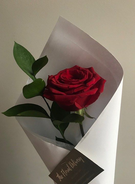 Элегантное очарование 💮