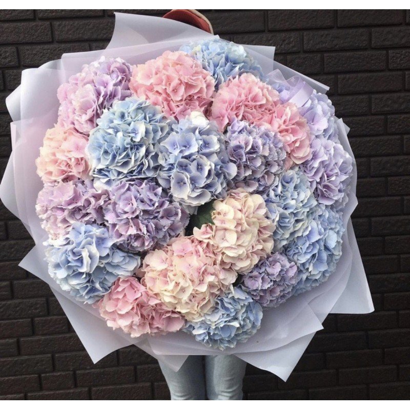 15 гортензия