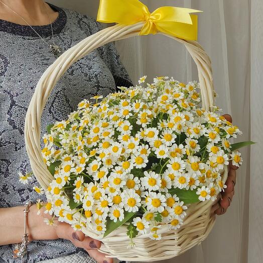 🌼Ромашки в плетеной корзиночке. Ромашки полевые