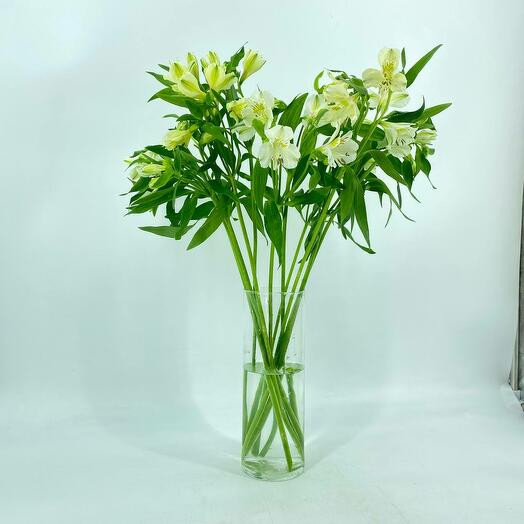 Букетик белой альстромерии 11 шт без упаковки