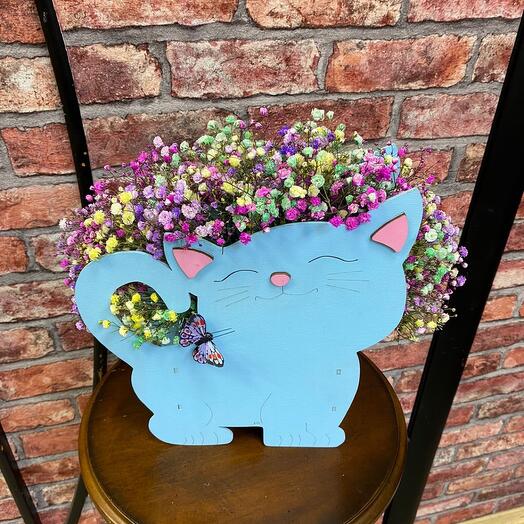 Cat with rainbow gypsophila