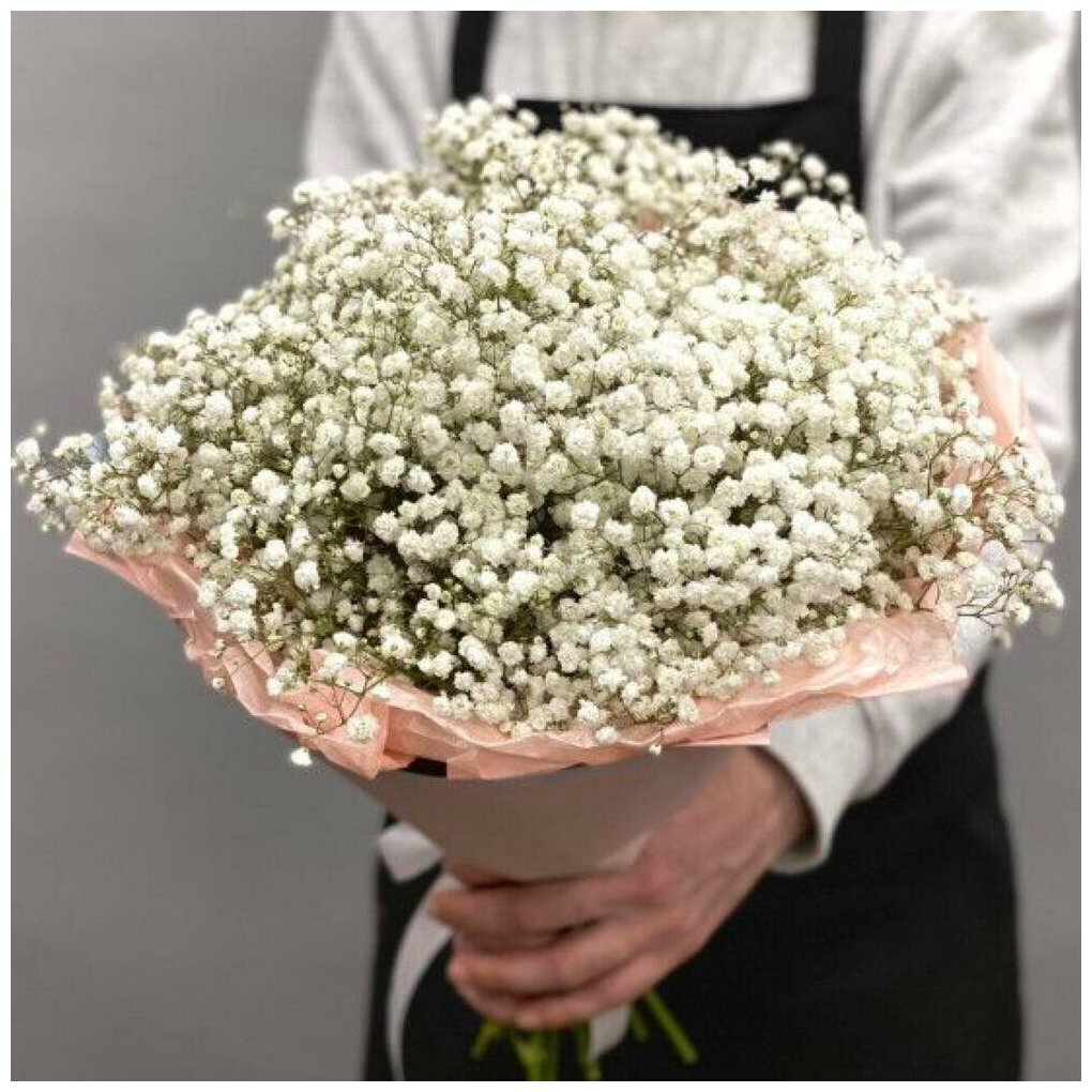 11 гипсофила