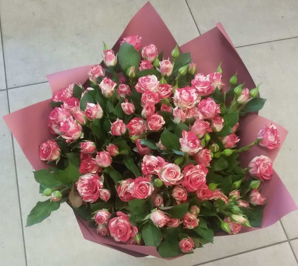 25 spray roses