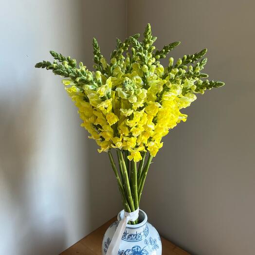 Bright yellow bouquet of 15 anti -rrinums lion pharynx