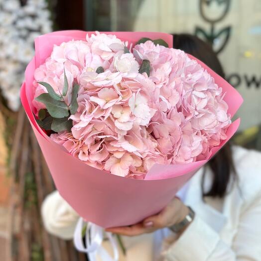 Моно розовая Гортензия