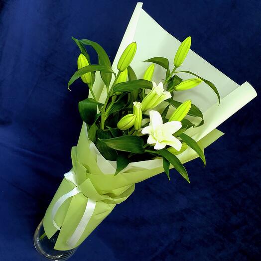 Lilia Terry 3 pieces