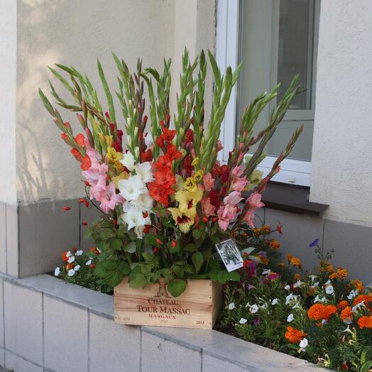 Box with gladioli