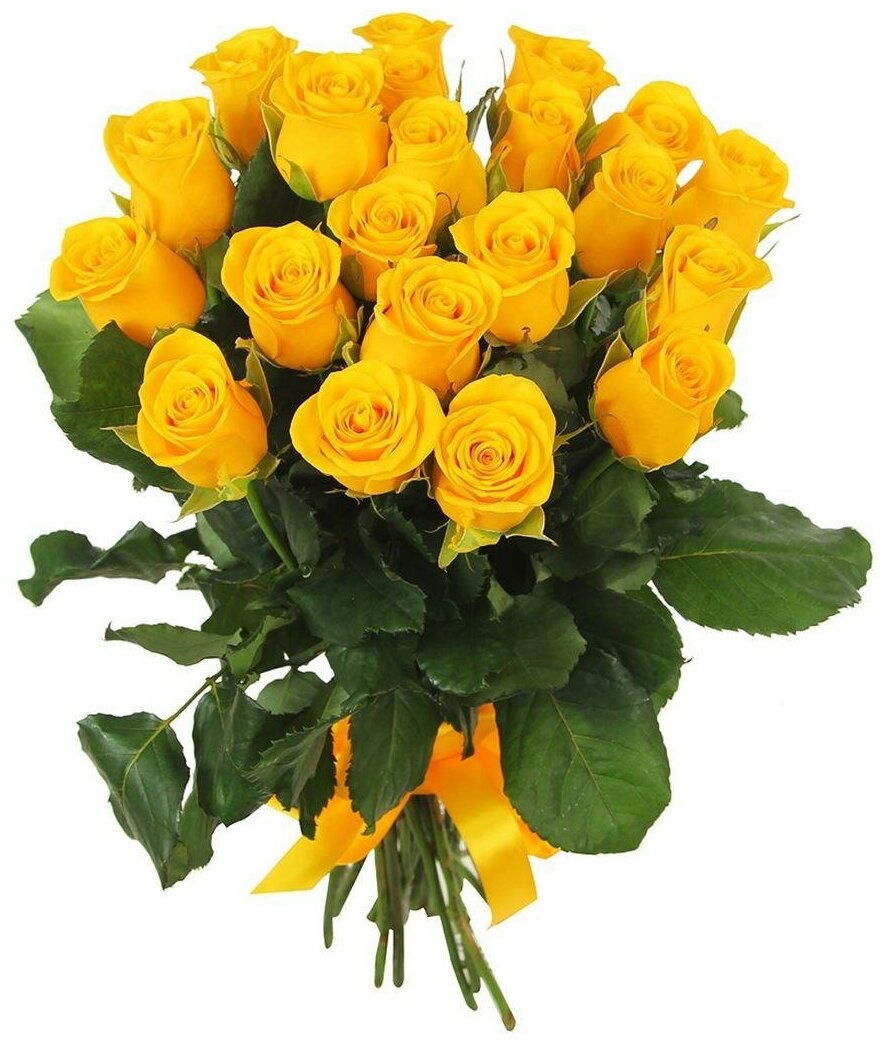 5 yellow roses