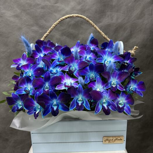 Синяя орхидея в ящике