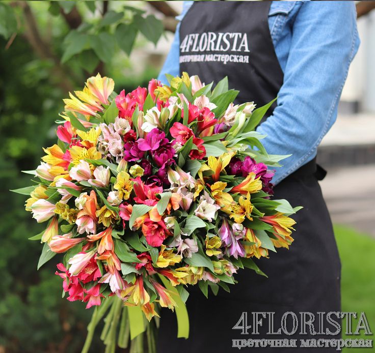 31 альстромерии