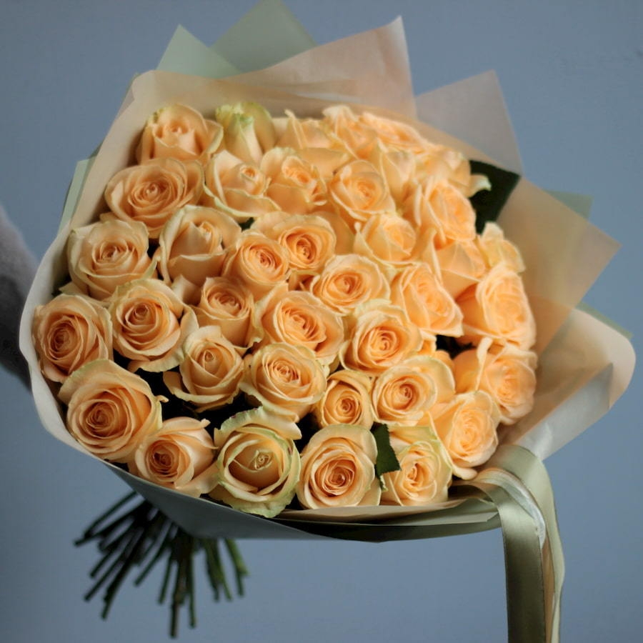 51 cream roses
