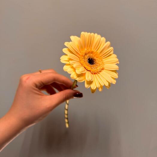 Flower for a pet's pet