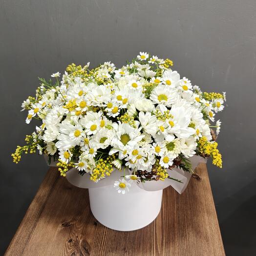 Flowers in the box of chamomile mix