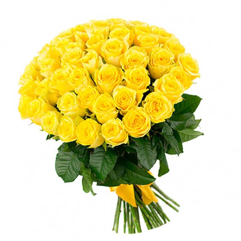 51 yellow roses