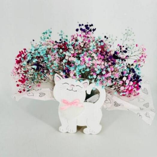 Flowers of the rainbow gypsophila into a kashpo koshka