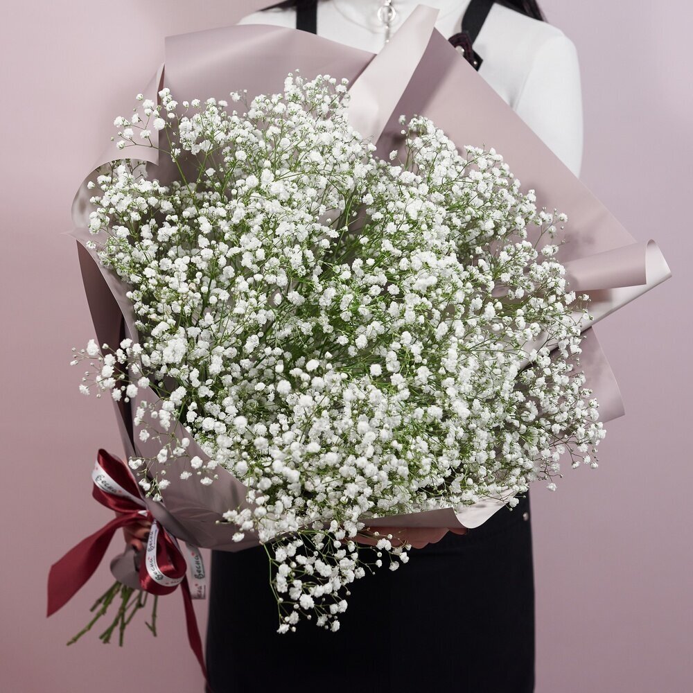 11 gypsophila